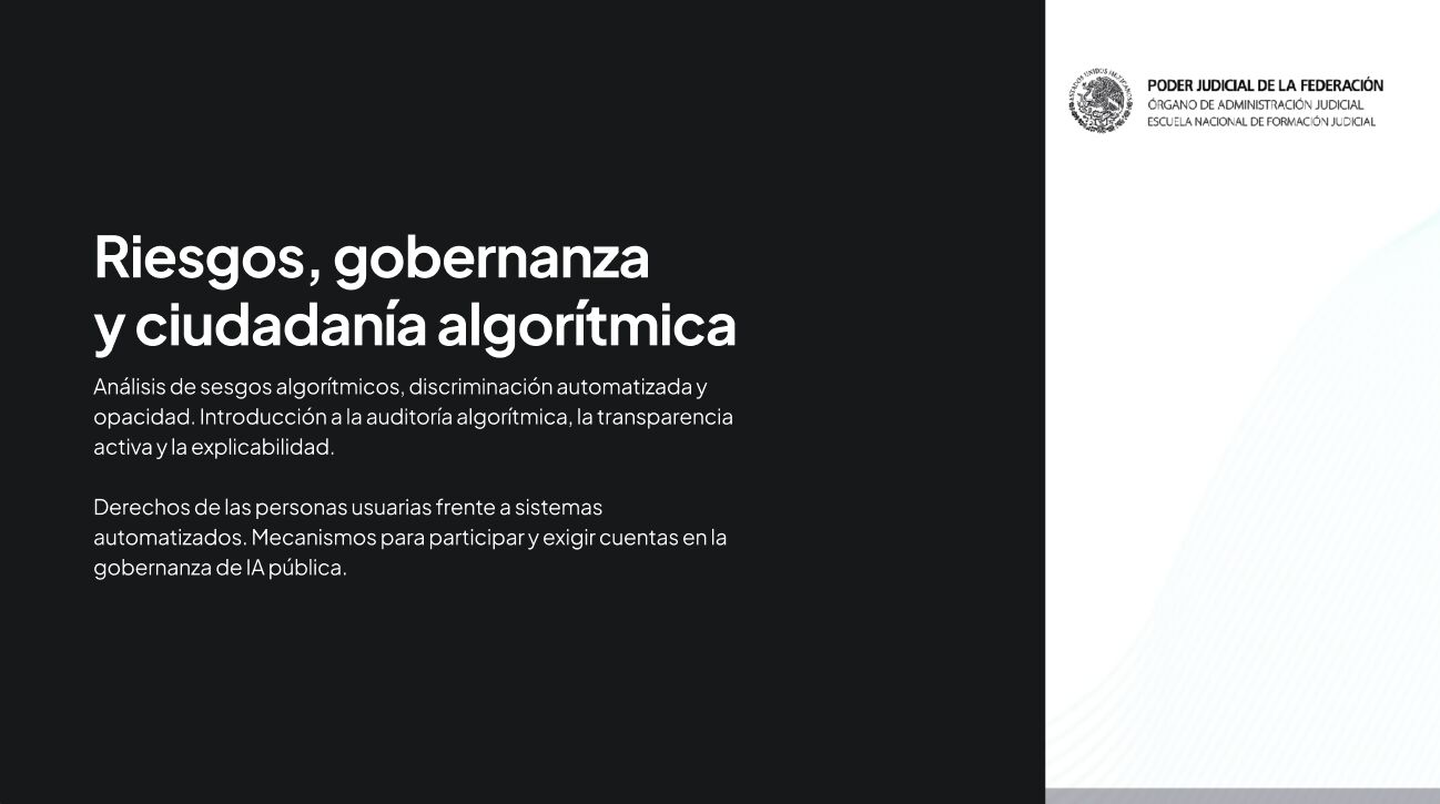 Nuestro módulo: Riesgos, gobernanza y ciudadanía algorítmica.